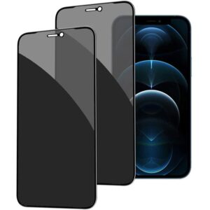 VIDRIO ANTIESPIA PREMIUM iPhone